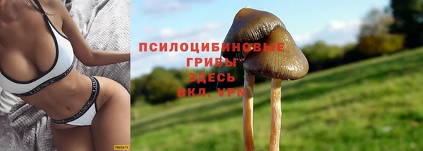 синтетический гашиш Кулебаки