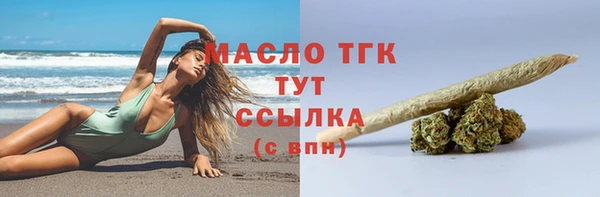 соль ск Кукмор