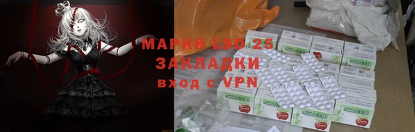 соль ск Кукмор