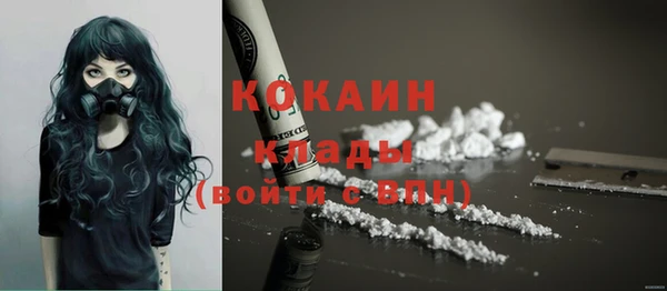 соль ск Кукмор
